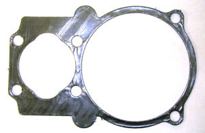 Cylinder Gasket, B5900 Pump #049440