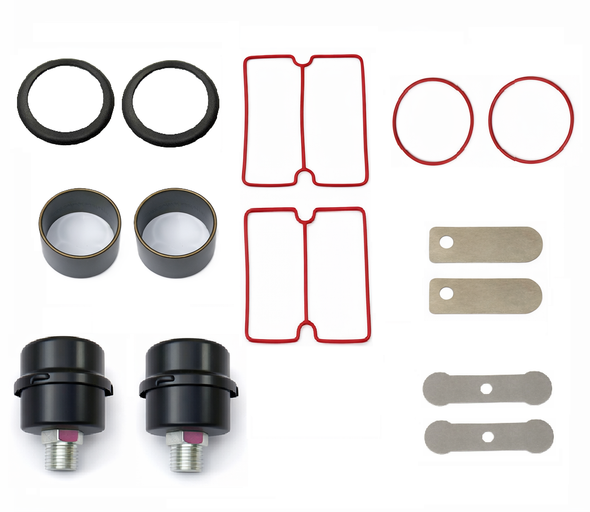 SP-9421 Pump Rebuild Kit, New Style 110V & 220V Units #11675F