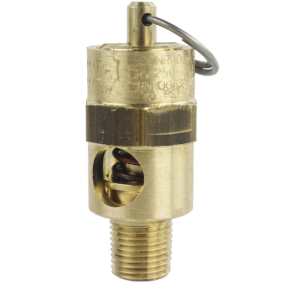 Safety Relief Valve 1/8" MPT, 200 PSI #1162C4