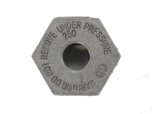 Bushing #05A4C5