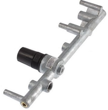 Regulator / Manifold Assembly #09B3C1