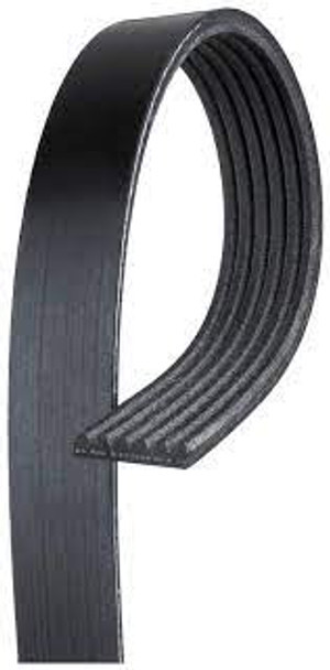 Belt, Poly-Groove, 48" #0E54E5