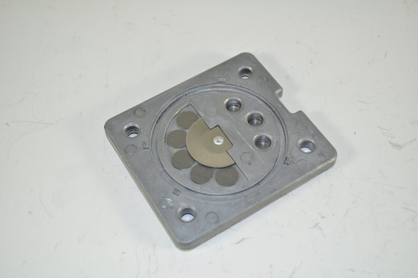 VALVE PLATE ASSEMBLY #09B919