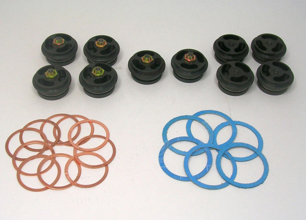 Valve Kit, SC46 / EC10 Pump #0197C2