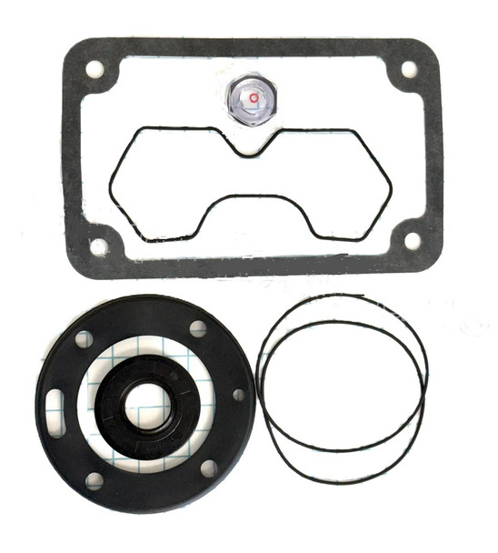 Seals Kit, i15 Pump #11643E