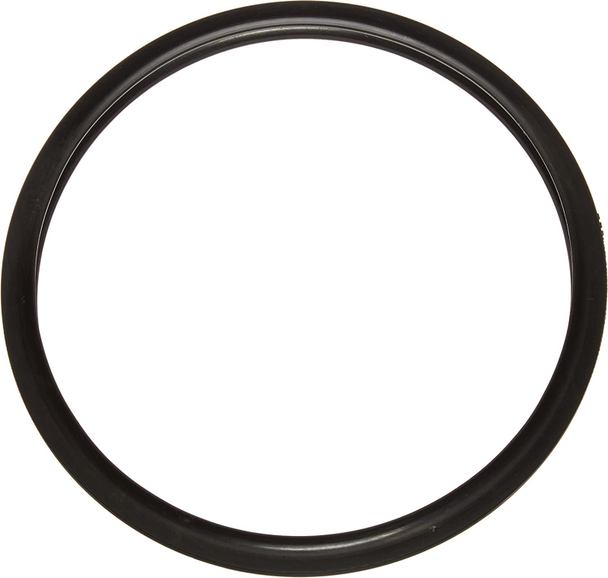 Pressure Pot Sealing Ring (365CW/365C), 5-Gallon #01A829