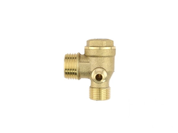 Check Valve Assembly #01E1D4
