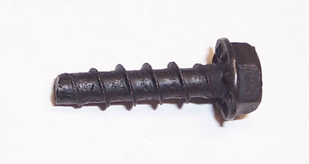 Plascrew, Black 5/8" Long  #01A9E6