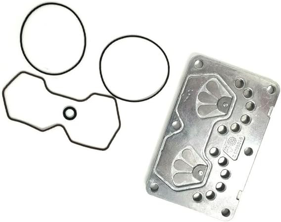 Head Valve Plate Assembly w/ Gaskets #05AACE