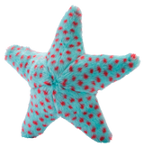 Ally Starfish