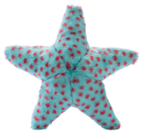 Ally Starfish