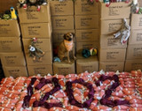 Fluff & Tuff Donates Over 1,000 Toys (Pet Business)