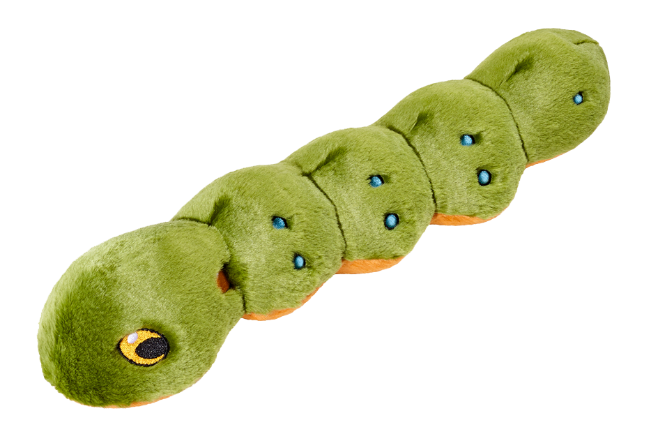 Katie Caterpillar