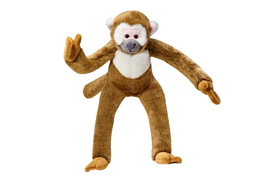 Albert Monkey