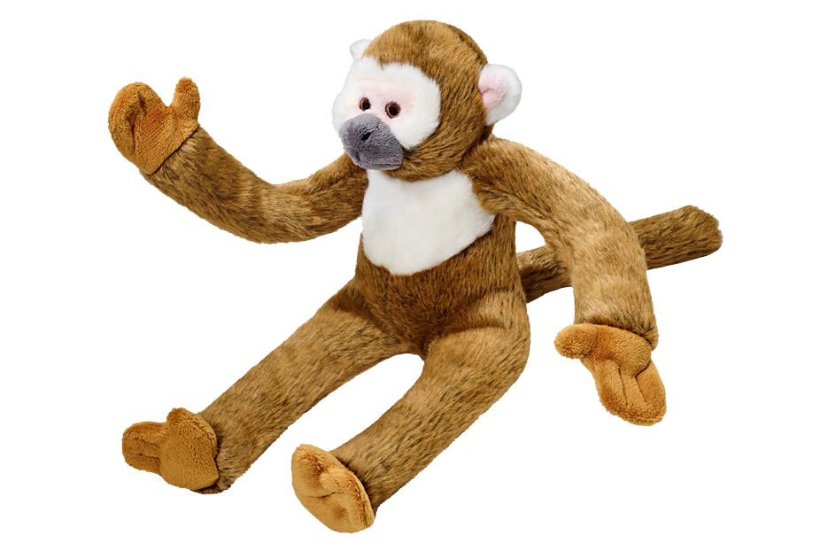 Albert Monkey