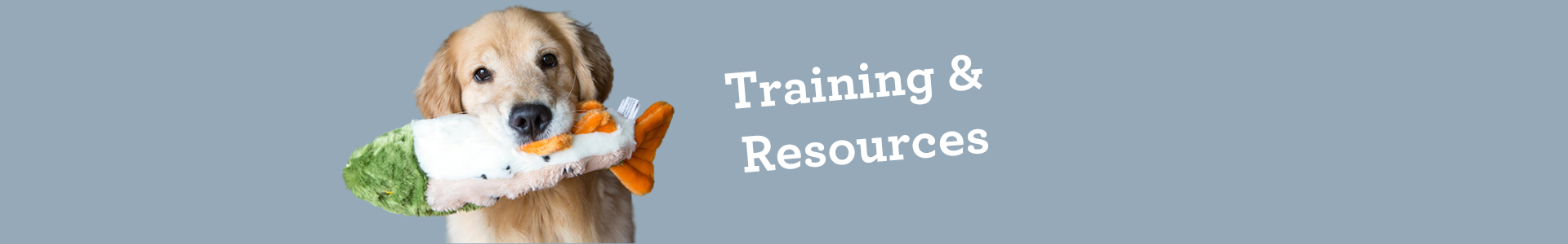 retailer-resources-banner.png