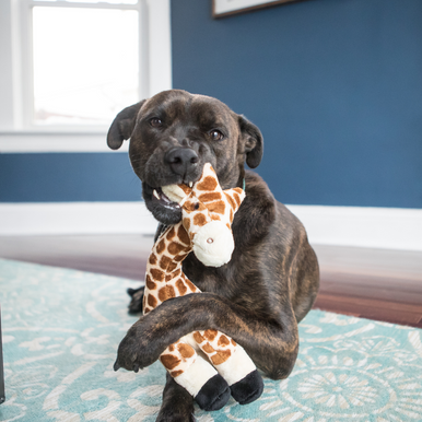 Aussie Naturals Dog Toys | Tuff Mutts Giraffe