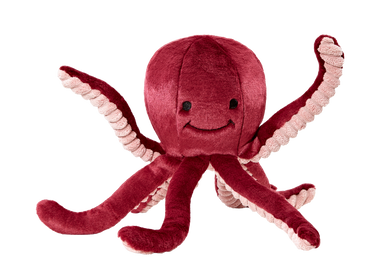 Olympia Octopus for Rusty