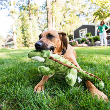 Fluff and Tuff Dog Toys - Savannah Baby Gator, Small - The Pet Beastro