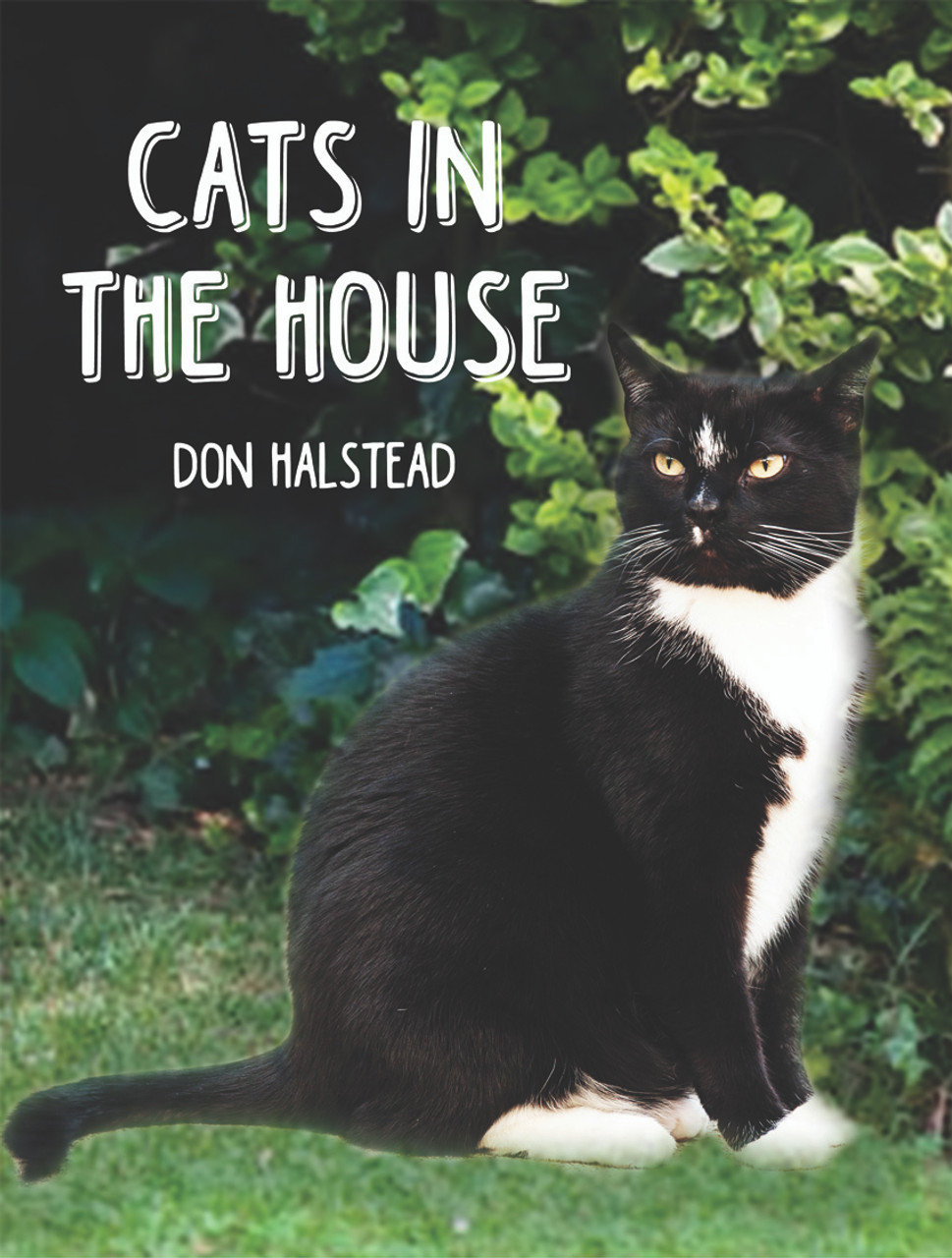 Cats in the House - Dorrance Bookstore