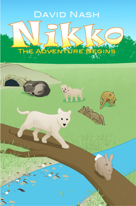 Nikko - eBook