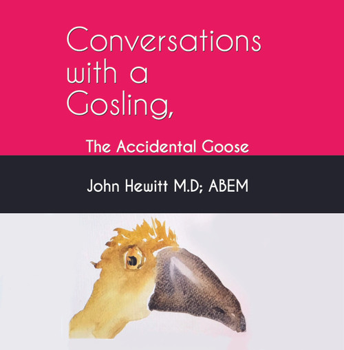 Conversations with a Gosling, The Accidental Goose