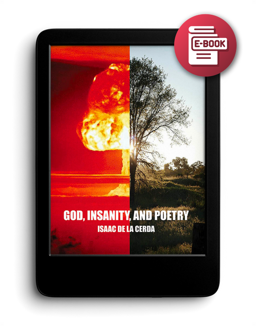 God, Insanity, and Poetry - eBook