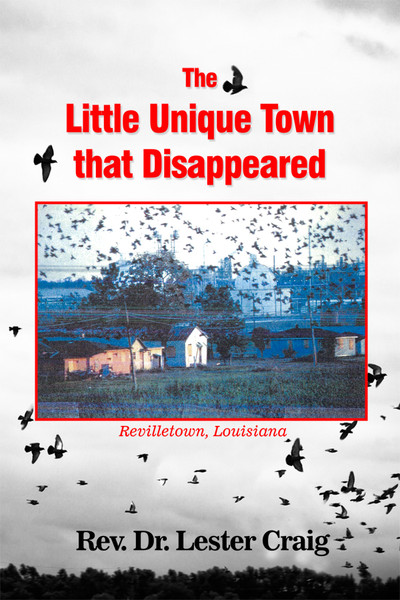 The Little Unique Town that Disappeared - eBook