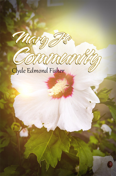 Mary J's Community - eBook