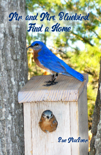 Mr. and Mrs. Bluebird Find a Home