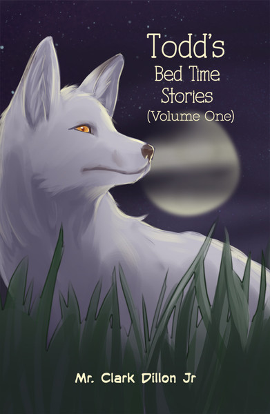 Todd's Bed Time Stories - eBook