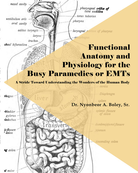 Functional Anatomy and Physiology for the Busy Paramedics or EMTs - eBook