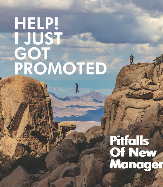 I Just Got Promoted: Pitfalls of New Managers - eBook