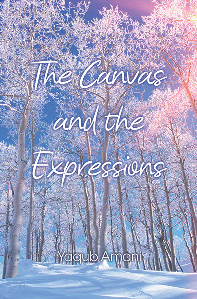 The Canvas and the Expressions - eBook