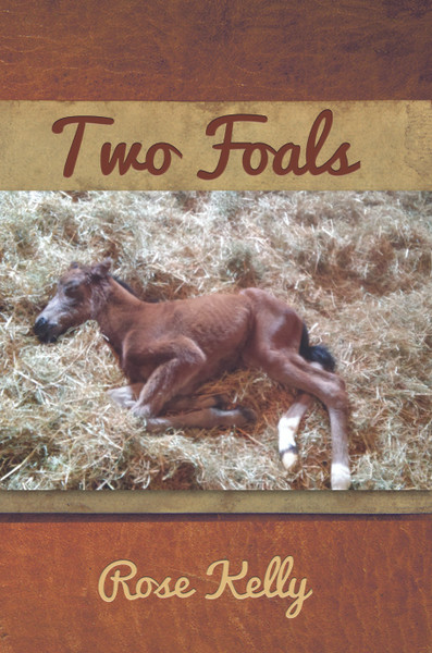 Two Foals 