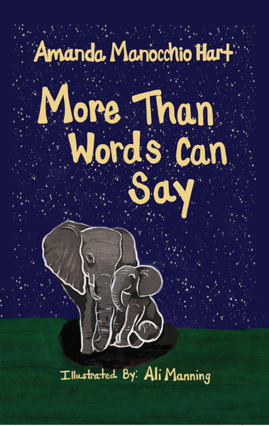 More Than Words Can Say- eBook