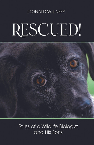 Rescued! Tales of a Wildlife Biologist and His Sons - eBook