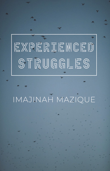 Experienced Struggles - eBook