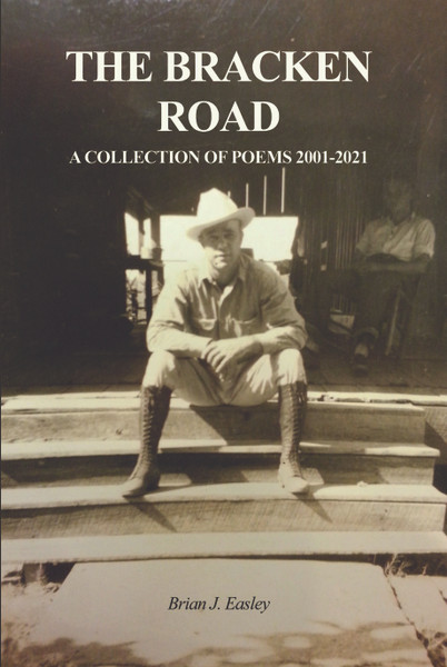 The Bracken Road: A Collection of Poems 2001-2021 - eBook