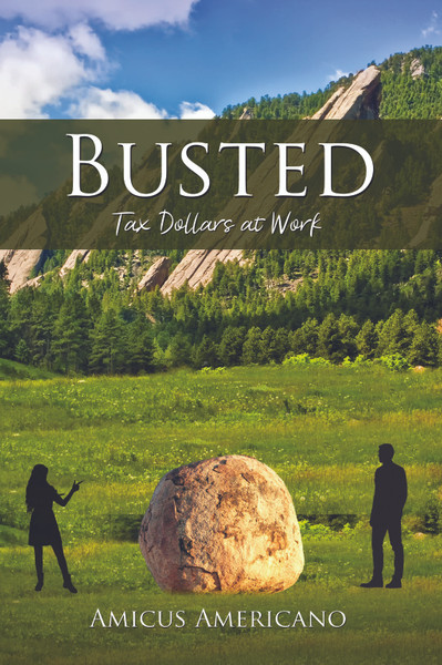 Busted (Tax Dollars at Work) - eBook