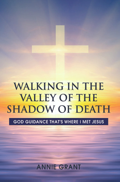 Walking in the Valley of the Shadow of Death: God guidance that's where I met Jesus - eBook