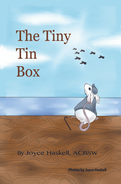 The Tiny Tin Box 