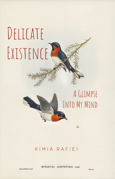 Delicate Existence: A Glimpse Into My Mind - eBook