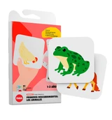 Primeros descubrimientos: los animales - spread: FABA