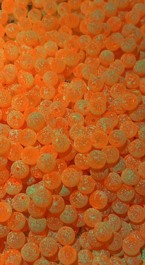 Bloop Bead John Scaly Fishing Beads Fishing Beads SteelheadStuff