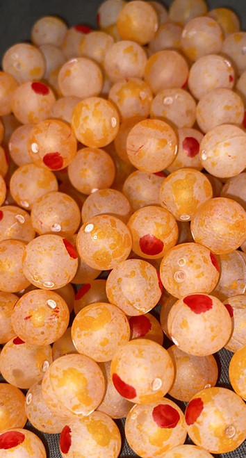 Bloop Bead Red & White Bloop Round Fishing Beads