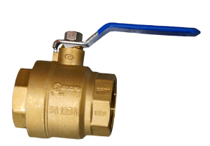 BALL VALVE 2" FEMALE NPT WITH HANDLE (PS)