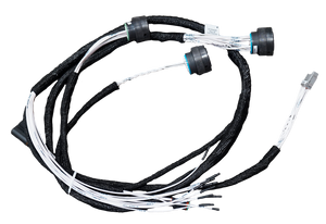 Harness - Cab, Cabover, Rear Loader