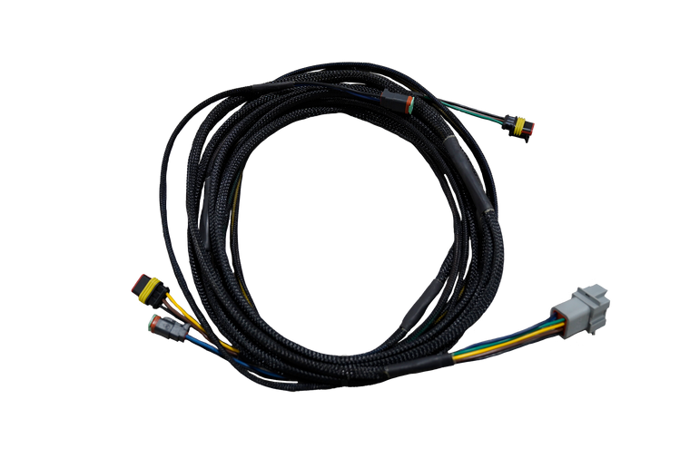 Harness - RL, Midship Lights