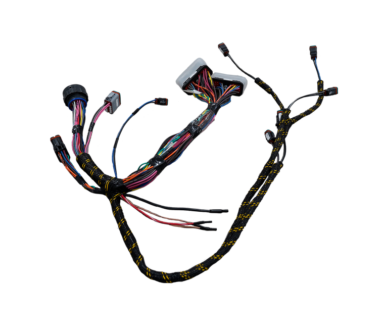 Harness - Main Valve, FL